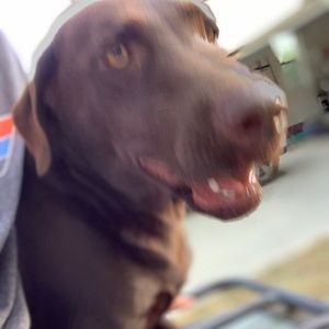 Meet your Posher, Ben